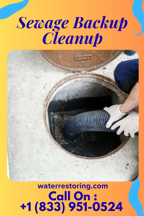 Sewage Backup Cleanup in Angola, IN