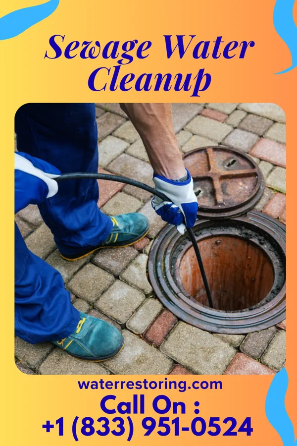 Sewage Water Cleanup in Angola, IN